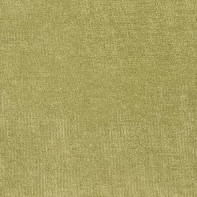 Charlotte Fabric D3816 Classic Velvet II 90% Polyester, 10% Nylon Asia Exceeds 240,000 Wyzenbeek Rubs (Heavy Duty) No Repeat 54 Inches - My Fabric Connection -