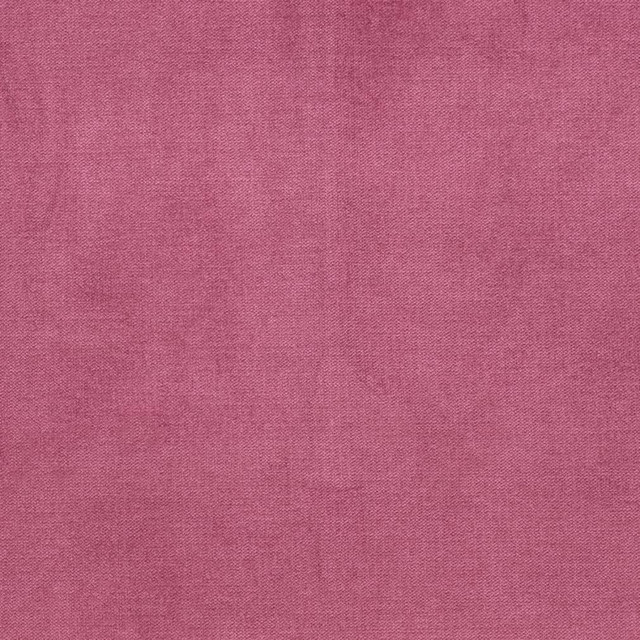 Charlotte Fabric D3849 Classic Velvet II 90% Polyester, 10% Nylon Asia Exceeds 240,000 Wyzenbeek Rubs (Heavy Duty) No Repeat 54 Inches - My Fabric Connection -