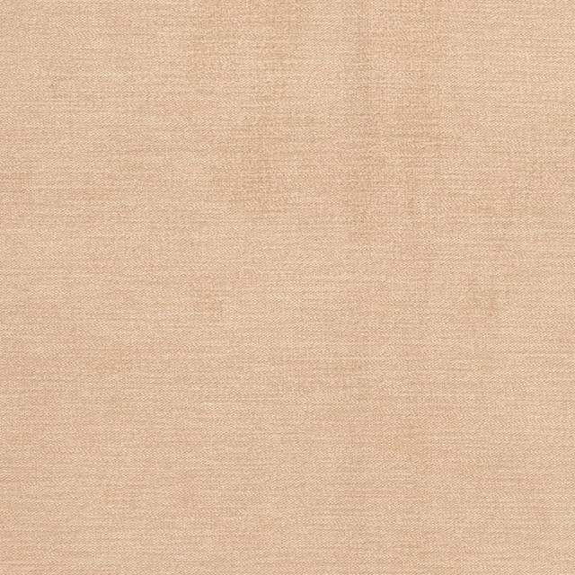 Charlotte Fabric D3851 Classic Velvet II 90% Polyester, 10% Nylon Asia Exceeds 240,000 Wyzenbeek Rubs (Heavy Duty) No Repeat 54 Inches - My Fabric Connection -