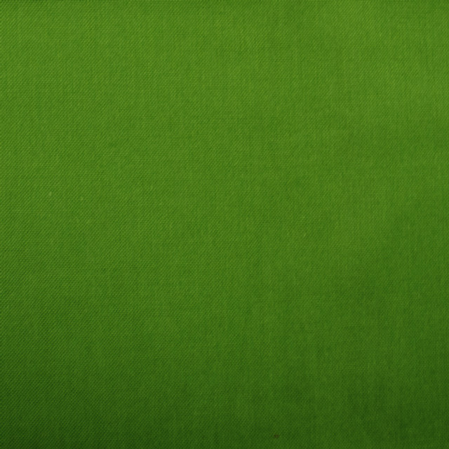 Europatex Fabric Barry - Forest Barry 100% Cotton China See Sample Horizontal: N/A and Vertical: N/A   - My Fabric Connection -