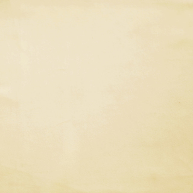 Europatex Fabric Plush - 03 Plush 100% Polyester China See Sample Horizontal: N/A and Vertical: N/A 55.00 inches  - My Fabric Connection -