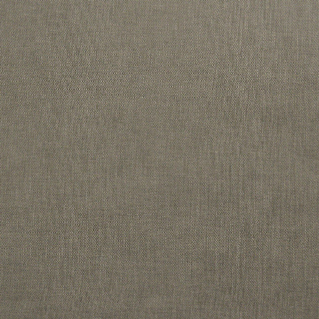 Europatex Fabric Sienty - Wolf Sienty 71% Polyester / 29% Cotton China See Sample Horizontal: N/A and Vertical: N/A 55.00 inches  - My Fabric Connection -