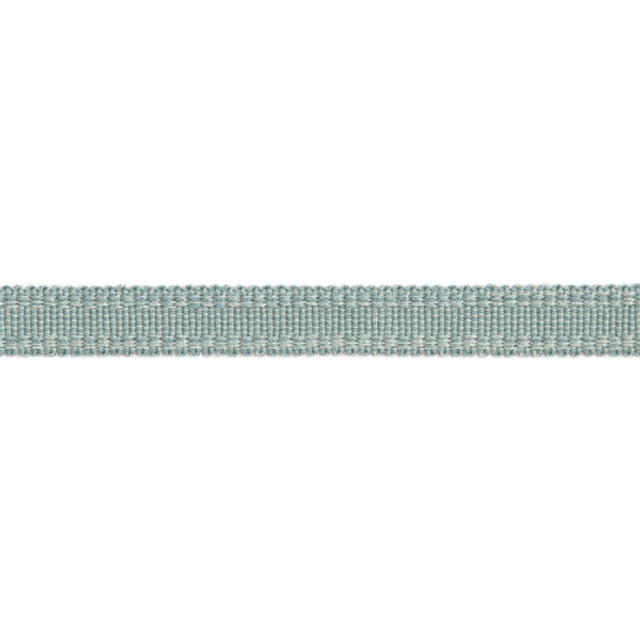Europatex Fabric Versailles 9/16" Raised Edge Gimp - Spa Versailles 100% Rayon China See Sample Horizontal: N/A and Vertical: N/A 0.56 inches  - My Fabric Connection -