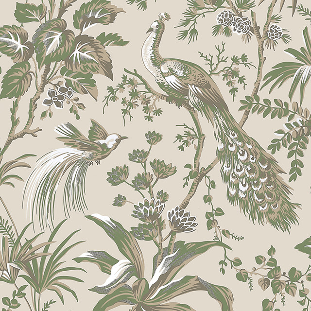 Anna French Wallpaper Peacock Toile Green on Natural AT57832 Wallpaper Wallpaper UNITED STATES - </p><p>Repeat: V: 36 27 - My Fabric Connection - Anna French Wallpaper Peacock Toile Green on Natural AT57832 Wallpaper Wallpaper UNITED STATES - </p><p>Repeat: V: 36 27 - My Fabric Connection -