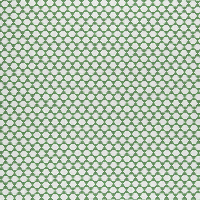 Thibaut Fabric Bijou Green W775452 Fabric 100% Cotton INDIA 29000 </p><p>Repeat: V: 1.25 54 - My Fabric Connection -