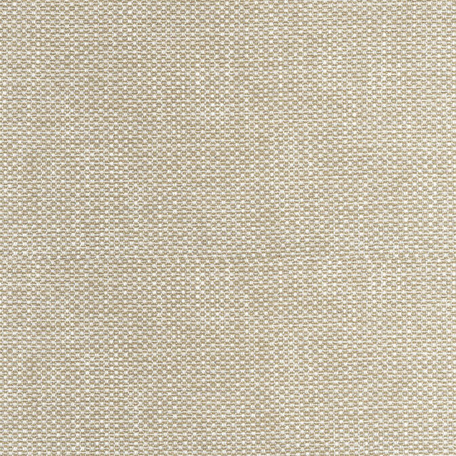 Thibaut Fabric Cascade Camel W75256 Fabric 93% Polyester, 7% Cotton U.S.A. 45000 </p><p>Repeat: V: 56 54 - My Fabric Connection - Thibaut Fabric Cascade Camel W75256 Fabric 93% Polyester, 7% Cotton U.S.A. 45000 </p><p>Repeat: V: 56 54 - My Fabric Connection -