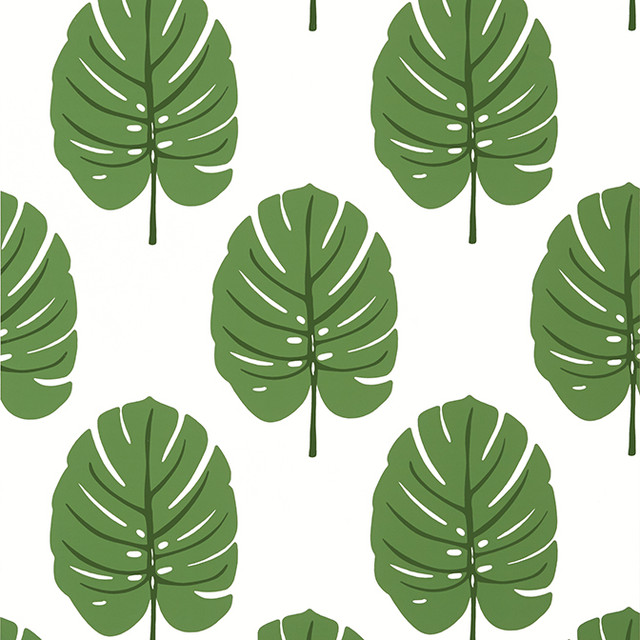 Thibaut Wallpaper Monstera Green T13952 Wallpaper Wallpaper U.S.A. - </p><p>Repeat: V: 18 27 - My Fabric Connection - Thibaut Wallpaper Monstera Green T13952 Wallpaper Wallpaper U.S.A. - </p><p>Repeat: V: 18 27 - My Fabric Connection -
