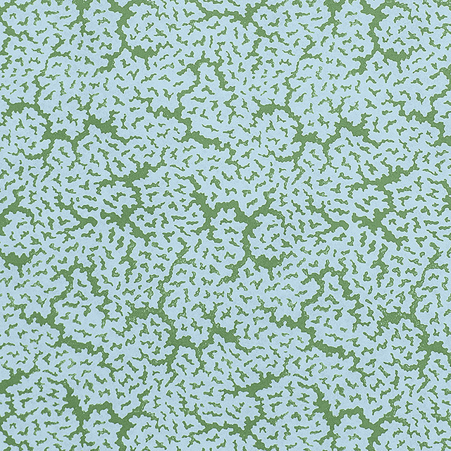 Thibaut Fabric Maldives Blue and Green F942044 Fabric 100% Cotton ITALY 8000 </p><p>Repeat: V: 21.75 53 - My Fabric Connection - Thibaut Fabric Maldives Blue and Green F942044 Fabric 100% Cotton ITALY 8000 </p><p>Repeat: V: 21.75 53 - My Fabric Connection -