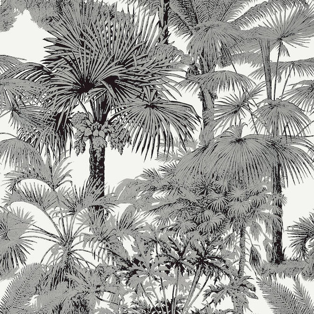 Thibaut Wallpaper Palm Botanical Black T10102 Wallpaper Wallpaper U.S.A. - </p><p>Repeat: V: 36 27 - My Fabric Connection - Thibaut Wallpaper Palm Botanical Black T10102 Wallpaper Wallpaper U.S.A. - </p><p>Repeat: V: 36 27 - My Fabric Connection -