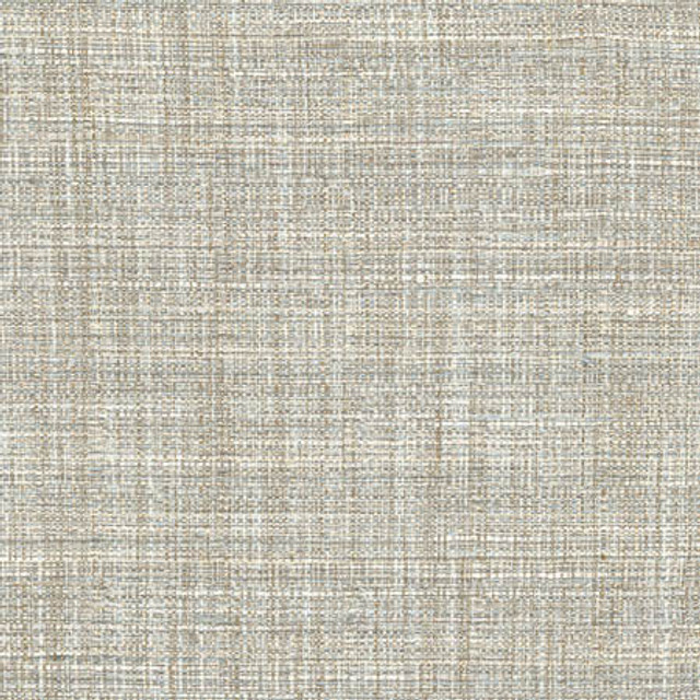 Carole Fabric Main Chance Rain Abode 100% Polyester India 30,000 Wyzenbeek Double Rubs None 56" - My Fabric Connection -