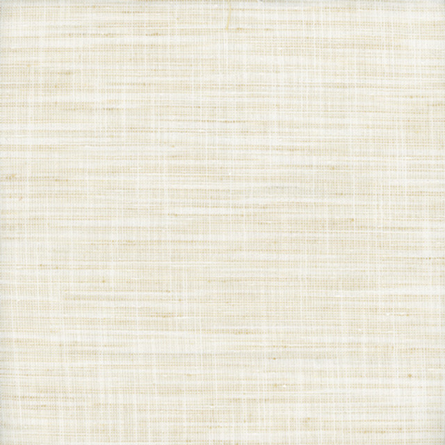 Carole Fabric There For You Rice Alliance 100% Polyester India None 55"" - My Fabric Connection -