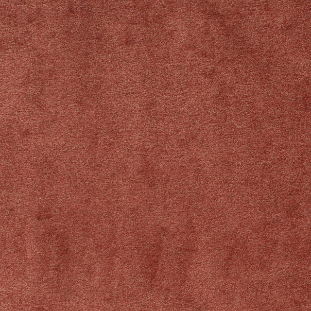 Charlotte Fabric D4198 Rust Charlotte Fabric D4198 Rust