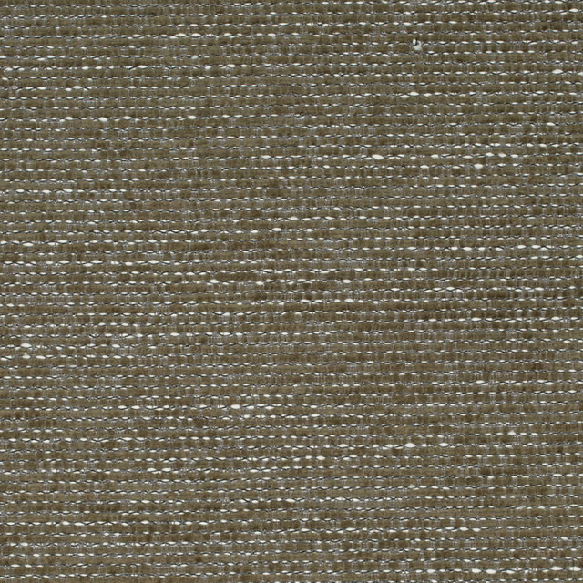 Charlotte Fabric D4217 Basil