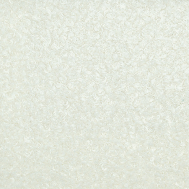 Magnolia Fabric Winnie Coconut - 100% Poly China 50,000+ Horizontal: 0 and Vertical: 0 57" - My Fabric Connection -