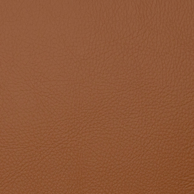 Magnolia Fabric Voyager Maple - 100% Pvc China 100,000+ Horizontal: 0 and Vertical: 0 54" - My Fabric Connection -