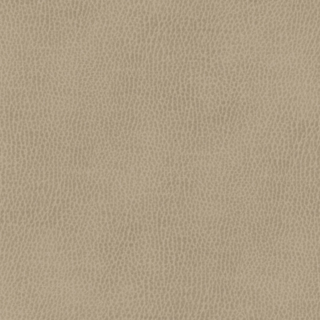 Maxwell Fabric Top Grain-Nj 848 Konik MEMOS ONLY-COATED FABRICS FACE: 100% SILICONE KOREA 54" - My Fabric Connection - Maxwell Fabric Top Grain-Nj 848 Konik MEMOS ONLY-COATED FABRICS FACE: 100% SILICONE KOREA 54" - My Fabric Connection -