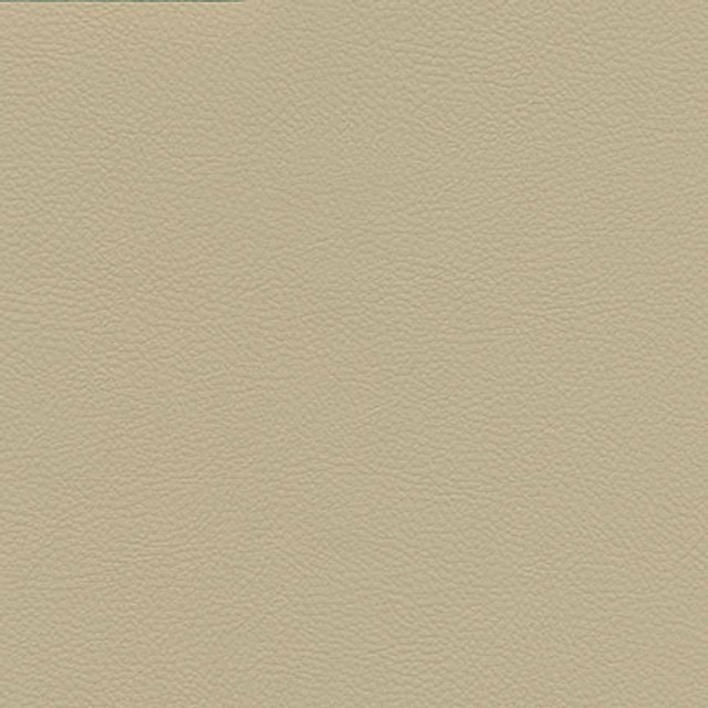 Maxwell Fabric Catalyst-Nj # 534 Sahara Memos Only-Coated Fabrics FACE: 100% SILICONE
BACKING: 100% POLYESTER KOREA 54" - My Fabric Connection -