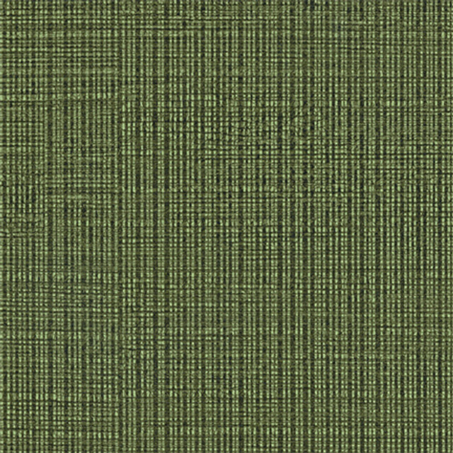 Maxwell Fabric Bournemouth-Nj 630 Cilantro MEMOS ONLY-COATED FABRICS FACE: 100% SILICONE
BASE: 100% POLYURETHANE (POLYCARBONATE)
BACKING: 100% POLYESTER KOREA   53"  - My Fabric Connection -