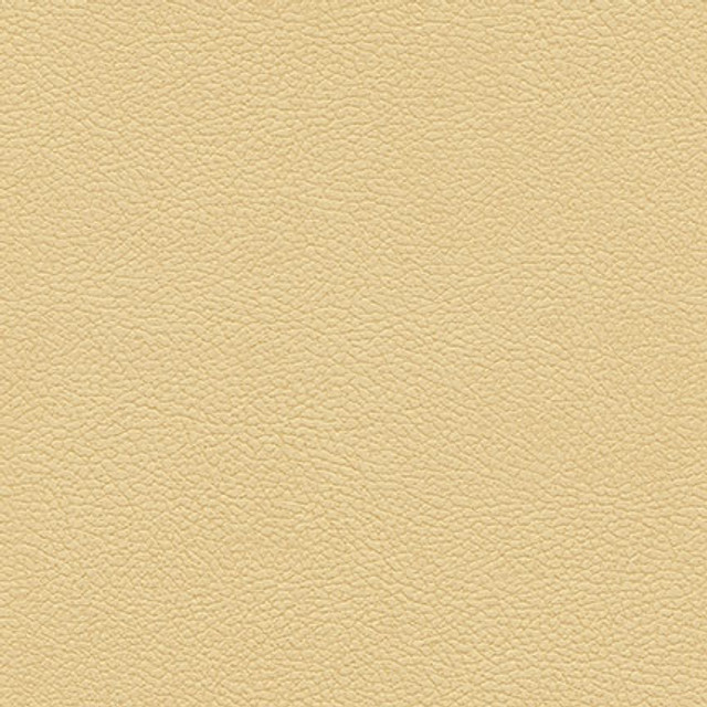 Maxwell Fabric Tannery-Nj 101 Sand MEMOS ONLY-COATED FABRICS FACE: 100% POLYURETHANE KOREA 54" - My Fabric Connection - Maxwell Fabric Tannery-Nj 101 Sand MEMOS ONLY-COATED FABRICS FACE: 100% POLYURETHANE KOREA 54" - My Fabric Connection -