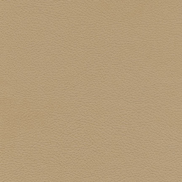 Maxwell Fabric Tannery-Nj # 119 Alder Memos Only-Coated Fabrics FACE: 100% POLYURETHANE
BACKING: 65% POLYESTER
35% RAYON KOREA 54" - My Fabric Connection -