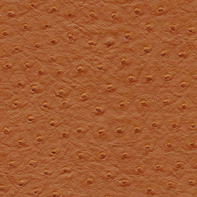 Maxwell Fabric Twitter-Nj # 301 Garam Masala Memos Only-Coated Fabrics FACE: 100% PVC
BACKING: 65% POLYESTER
35% COTTON KOREA 54" - My Fabric Connection -