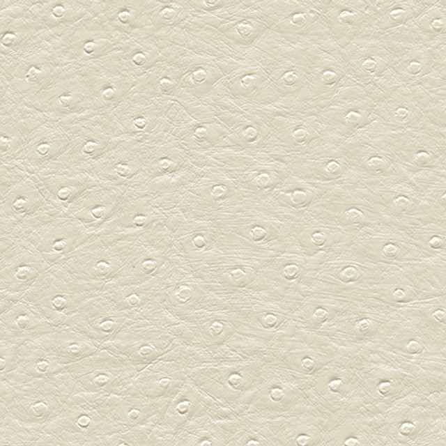 Maxwell Fabric Twitter-Nj 306 Daisy MEMOS ONLY-COATED FABRICS FACE: 100% PVC KOREA 54" - My Fabric Connection - Maxwell Fabric Twitter-Nj 306 Daisy MEMOS ONLY-COATED FABRICS FACE: 100% PVC KOREA 54" - My Fabric Connection -