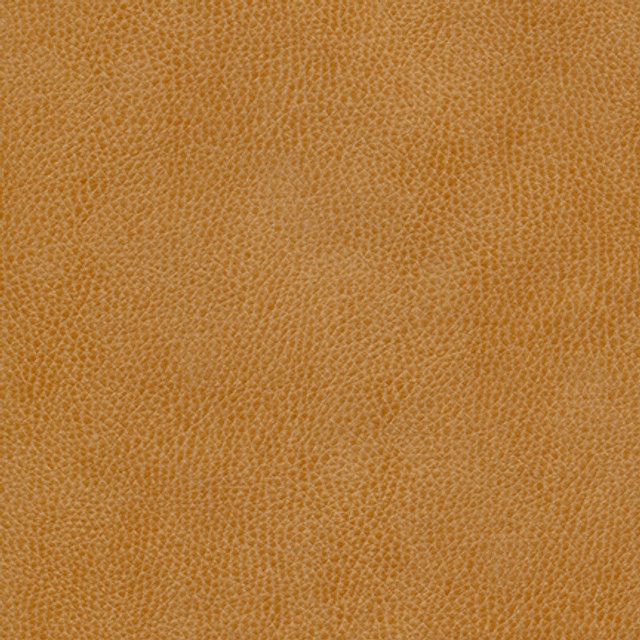 Maxwell Fabric Hermitage-Nj 1318 Marigold MEMOS ONLY-COATED FABRICS FACE: 100% POLYURETHANE KOREA   54"  - My Fabric Connection -