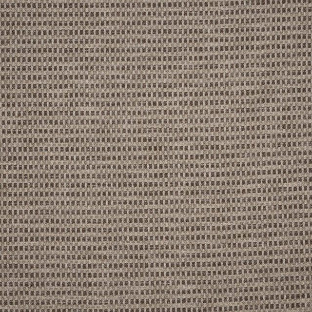 Maxwell Fabric Rockland # 742 Marten Performance Wovens-Vol. Vii Gold Rush 81% POLYESTER
19% COTTON INDIA V-0.5" H-0.25" 54" - My Fabric Connection -