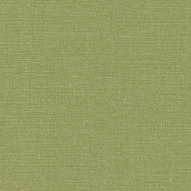 Maxwell Fabric Equilibrium-Nj 231 Grass MEMOS ONLY-COATED FABRICS FACE: 100% PVC KOREA 54" - My Fabric Connection - Maxwell Fabric Equilibrium-Nj 231 Grass MEMOS ONLY-COATED FABRICS FACE: 100% PVC KOREA 54" - My Fabric Connection -