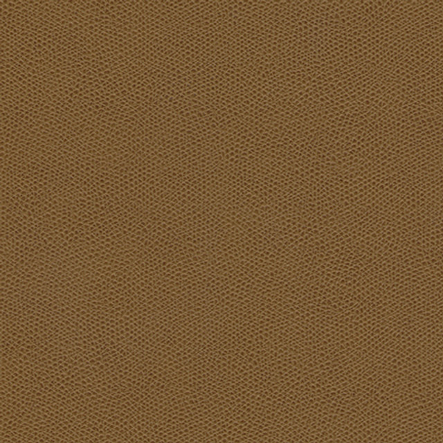 Maxwell Fabric Surabaya-Nj # 658 Shoots Memos Only-Coated Fabrics FACE: 100% PVC
BACKING: 100% POLYESTER KOREA 54" - My Fabric Connection -