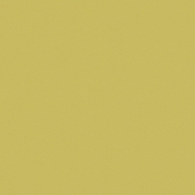 Maxwell Fabric Zaitun 521 Chartreuse PURE & SIMPLE XVI 100% ORGANIC COTTON INDIA   55"  - My Fabric Connection -