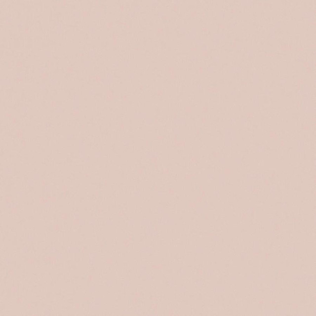 Maxwell Fabric Zaitun # 529 Cameo Pure & Simple Xvi 100% ORGANIC COTTON INDIA 55" - My Fabric Connection -