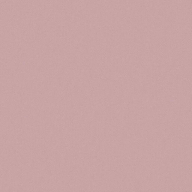 Maxwell Fabric Zaitun # 530 Blossom Pure & Simple Xvi 100% ORGANIC COTTON INDIA 55" - My Fabric Connection -