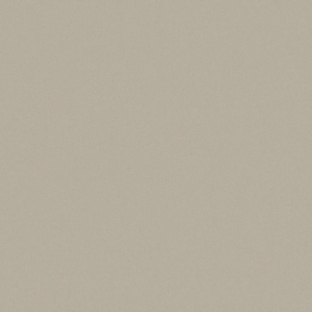 Maxwell Fabric Zaitun # 549 Cement Pure & Simple Xvi 100% ORGANIC COTTON INDIA 55" - My Fabric Connection -