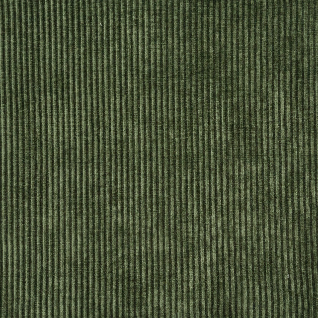 Maxwell Fabric Railtown 914 Cucumber PERFORMANCE WOVENS-VOL. VII TIDEPOOL 100% POLYESTER CHINA 55" - My Fabric Connection - Maxwell Fabric Railtown 914 Cucumber PERFORMANCE WOVENS-VOL. VII TIDEPOOL 100% POLYESTER CHINA 55" - My Fabric Connection -