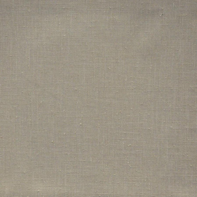 Maxwell Fabric Citizen # 643 Cashew Color Theory-Vol.Vii Sandalwood 100% POLYESTER INDIA 54" - My Fabric Connection -