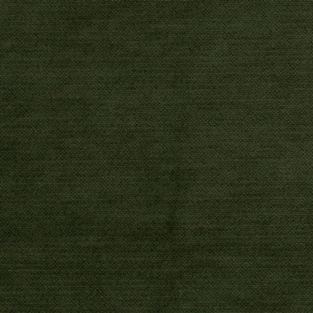 Mitchell Fabric Comfy Turtle #2403 100% Polyester with Alta DWR PFAS free Imported </p><p>Repeat: Horizontal: and Vertical: 55 - My Fabric Connection - Mitchell Fabric Comfy Turtle #2403 100% Polyester with Alta DWR PFAS free Imported </p><p>Repeat: Horizontal: and Vertical: 55 - My Fabric Connection -