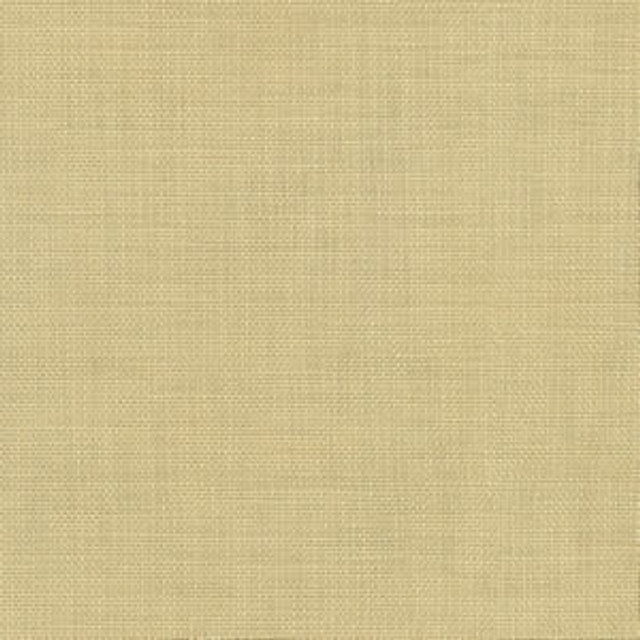 Norbar Fabric Conway Safari FAMOUS 100% COTTON PAKISTAN 54 - My Fabric Connection - Norbar Fabric Conway Safari FAMOUS 100% COTTON PAKISTAN 54 - My Fabric Connection -