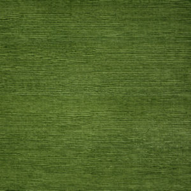 Norbar Fabric Famous Olive FAMOUS 100% COTTON SPAIN 54 - My Fabric Connection - Norbar Fabric Famous Olive FAMOUS 100% COTTON SPAIN 54 - My Fabric Connection -