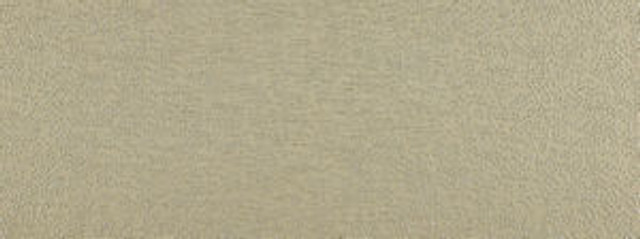 Norbar Fabric Logo Parchment 131 SYMPHONY 100% POLYESTER INDIA 19"V 13 5/8"H 54" - My Fabric Connection -
