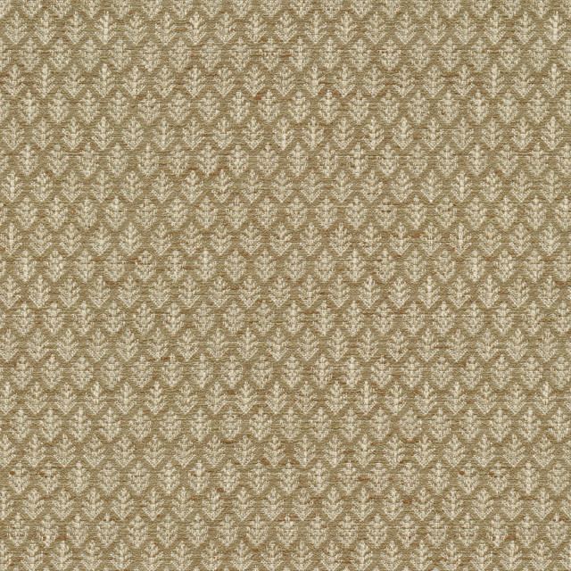 P/K LIFESTYLES Fabric Fern Fair Honey 471095 - 86% polyester, 14% cotton India 51000 Horizontal: 0.62 and Vertical: 1.12 54 - My Fabric Connection -