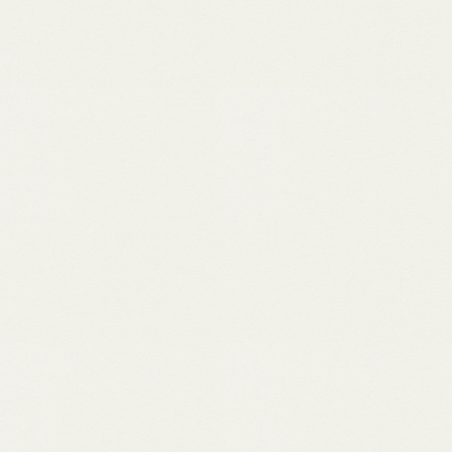 P/K LIFESTYLES Fabric Raya White 471420 - 100% recycled polyester India 51000 Horizontal: 0 and Vertical: 0 56 - My Fabric Connection -