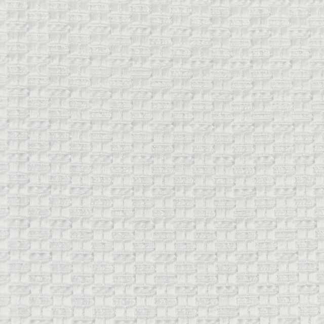 Europatex Fabric Jubilee Moscato Soiree & Jubilee 100% Polyester 0.00" 118.00 inches - My Fabric Connection - Europatex Fabric Jubilee Moscato Soiree & Jubilee 100% Polyester 0.00" 118.00 inches - My Fabric Connection -