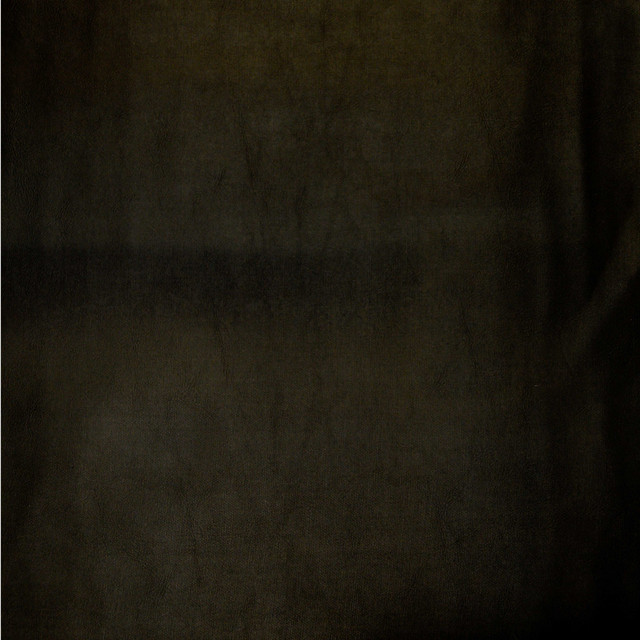 Europatex Fabric Vinyl Library Orinids Black Vinyl Library 40% Polyester, 55% pvc, 5% PU 55.00 inches - My Fabric Connection - Europatex Fabric Vinyl Library Orinids Black Vinyl Library 40% Polyester, 55% pvc, 5% PU 55.00 inches - My Fabric Connection -