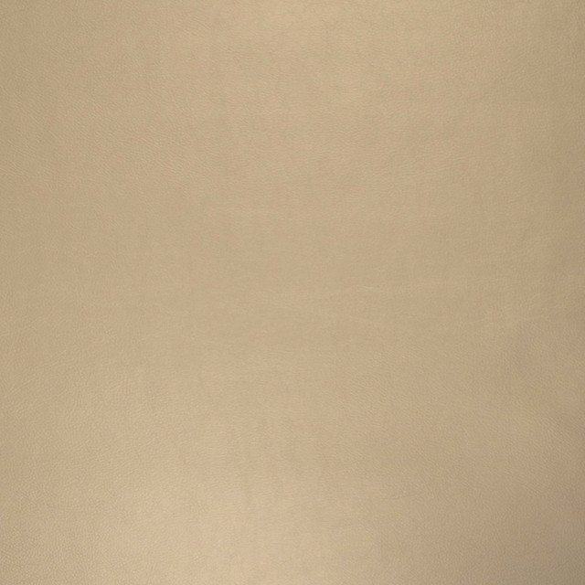Europatex Fabric Vinyl Library Pegasus Oyster Vinyl Library 40% Polyester, 55% pvc, 5% PU 55.00 inches - My Fabric Connection - Europatex Fabric Vinyl Library Pegasus Oyster Vinyl Library 40% Polyester, 55% pvc, 5% PU 55.00 inches - My Fabric Connection -