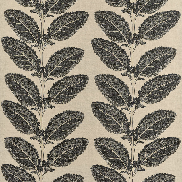 Thibaut Fabric Lacinato Basalt Black F912038 Fabric </p><p>Repeat: V: 19.50" (49.53 cm) 54.00" (137.16 cm) - My Fabric Connection - Thibaut Fabric Lacinato Basalt Black F912038 Fabric </p><p>Repeat: V: 19.50" (49.53 cm) 54.00" (137.16 cm) - My Fabric Connection -