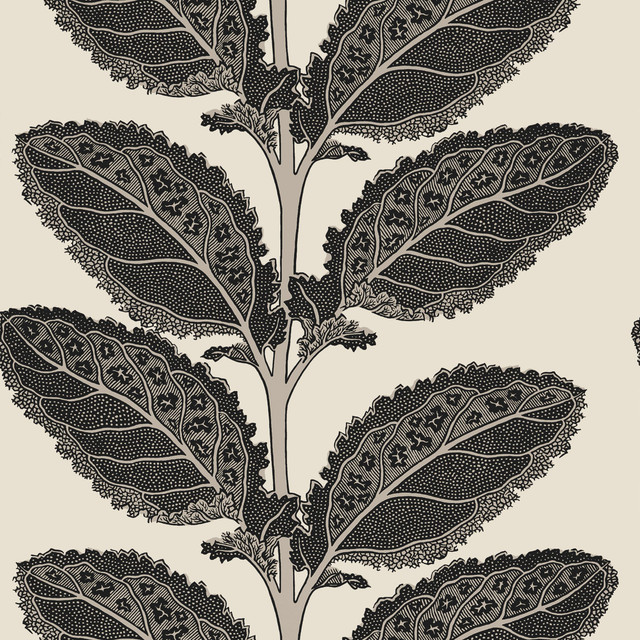 Thibaut Wallpaper Lacinato Basalt Black T12038 Wallpaper </p><p>Repeat: V: 18.00"(45.72 cm) 27.00"(68.58 cm) - My Fabric Connection - Thibaut Wallpaper Lacinato Basalt Black T12038 Wallpaper </p><p>Repeat: V: 18.00"(45.72 cm) 27.00"(68.58 cm) - My Fabric Connection -
