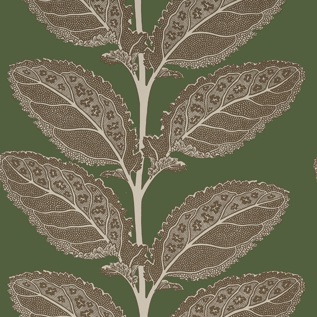 Thibaut Wallpaper Lacinato Wild Sage T12040 Wallpaper </p><p>Repeat: V: 18.00"(45.72 cm) 27.00"(68.58 cm) - My Fabric Connection - Thibaut Wallpaper Lacinato Wild Sage T12040 Wallpaper </p><p>Repeat: V: 18.00"(45.72 cm) 27.00"(68.58 cm) - My Fabric Connection -