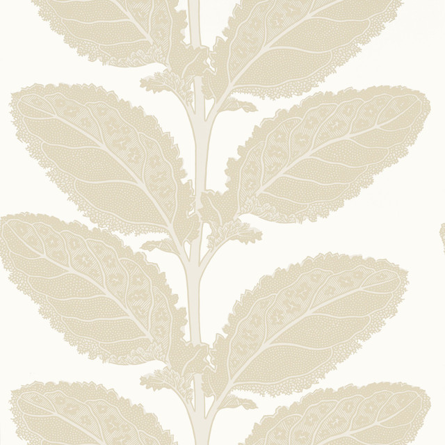 Thibaut Wallpaper Lacinato Birch T12041 Wallpaper </p><p>Repeat: V: 18.00"(45.72 cm) 27.00"(68.58 cm) - My Fabric Connection - Thibaut Wallpaper Lacinato Birch T12041 Wallpaper </p><p>Repeat: V: 18.00"(45.72 cm) 27.00"(68.58 cm) - My Fabric Connection -