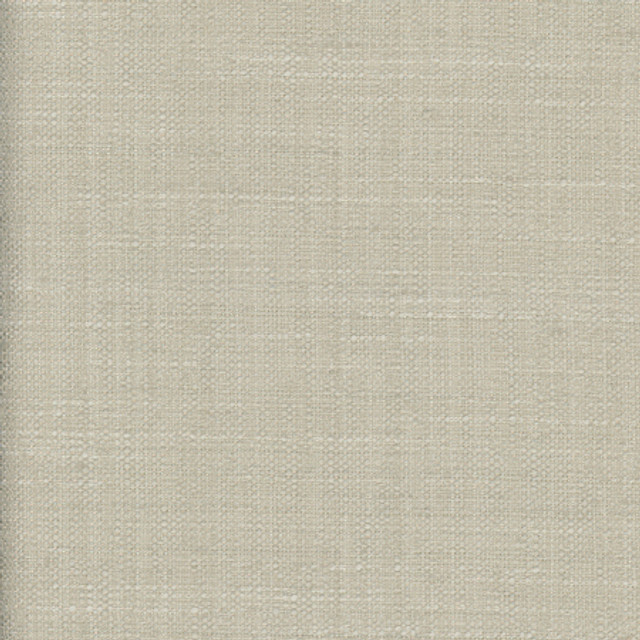 <p>Carole Fabric The Reason Is Bone</p><p><strong>Required Minimum Quantity Purchase: 2 yards</strong></p><p>Book: Desert Sands</p><p>Content: 100% Polyester</p><p>Origin: </p><p>Performance: N/A</p><p>Repeat: None</p><p>Width: 54""</p>